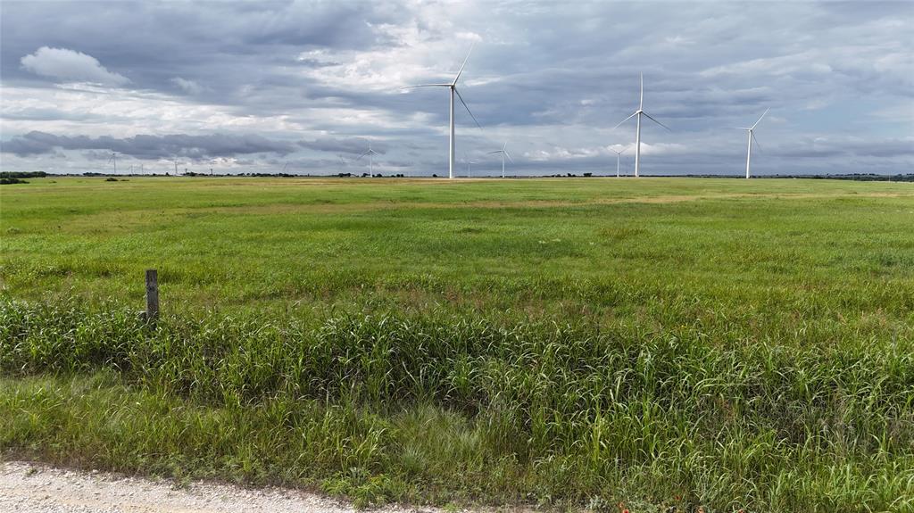 Tbd County Road 431 Property Photo 15