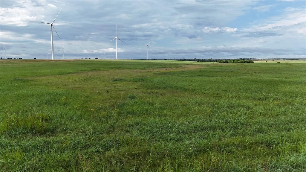 Tbd County Road 431 Property Photo 18