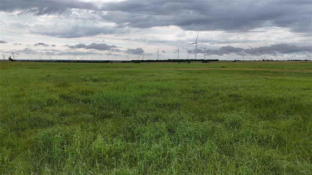 Tbd County Road 431 Property Photo 19