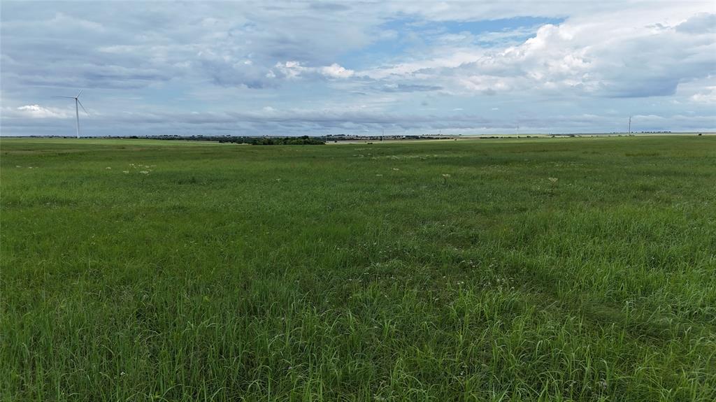 Tbd County Road 431 Property Photo 21