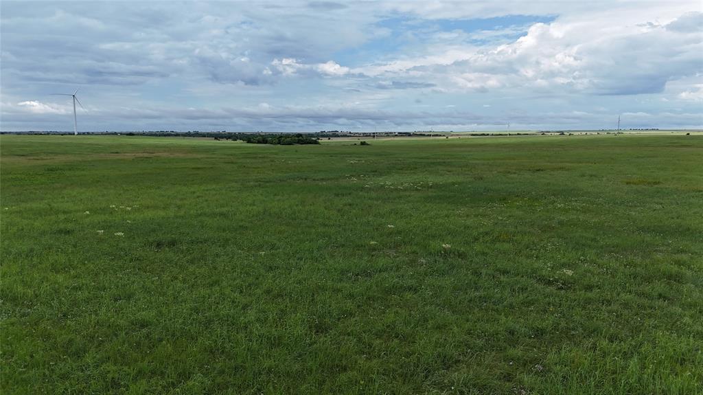 Tbd County Road 431 Property Photo 22