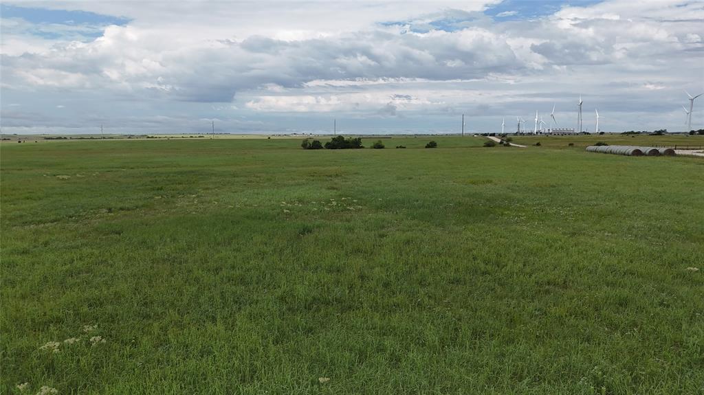 Tbd County Road 431 Property Photo 23