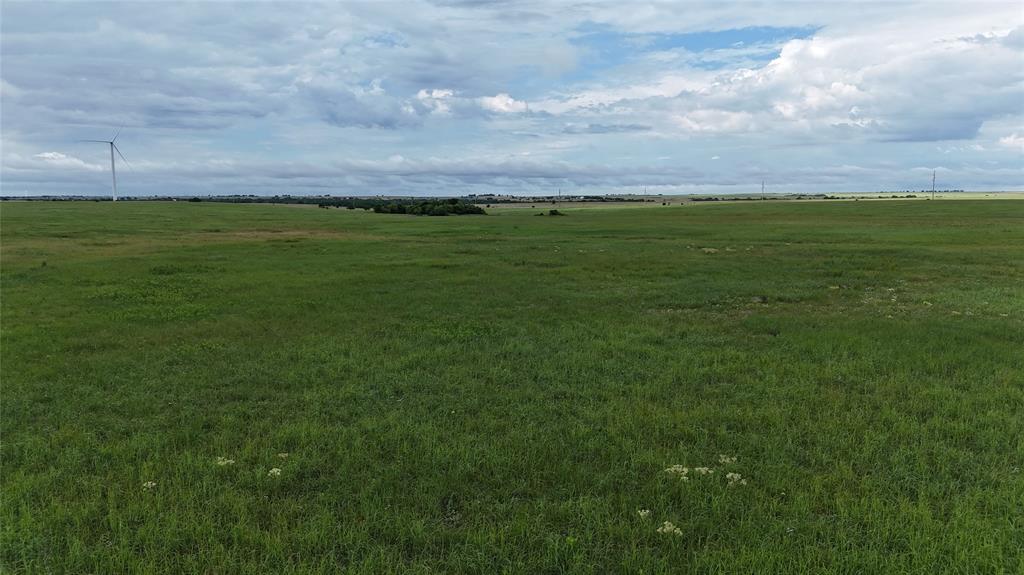 Tbd County Road 431 Property Photo 24