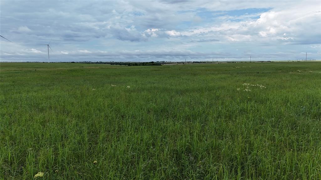 Tbd County Road 431 Property Photo 27