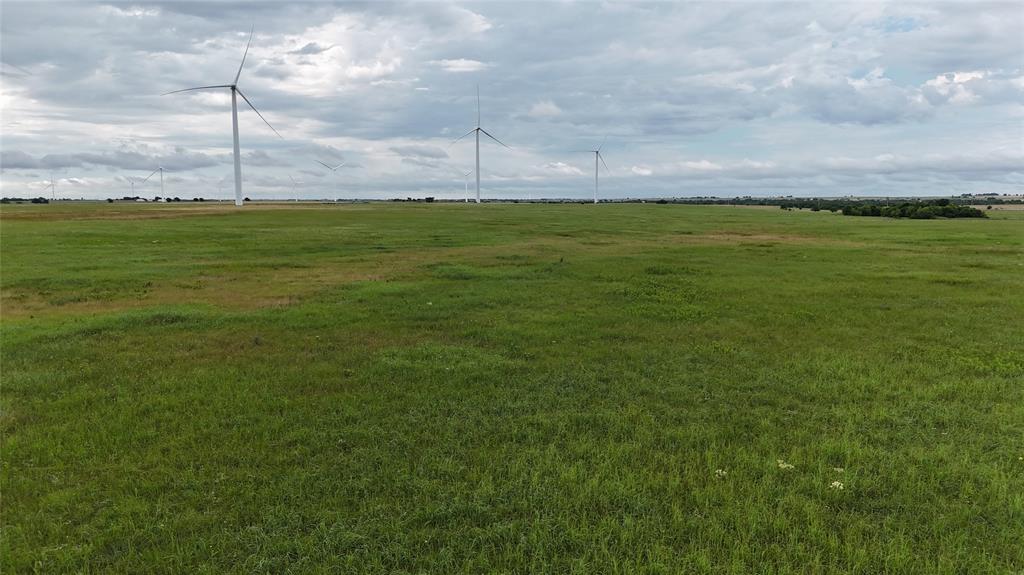 Tbd County Road 431 Property Photo 28