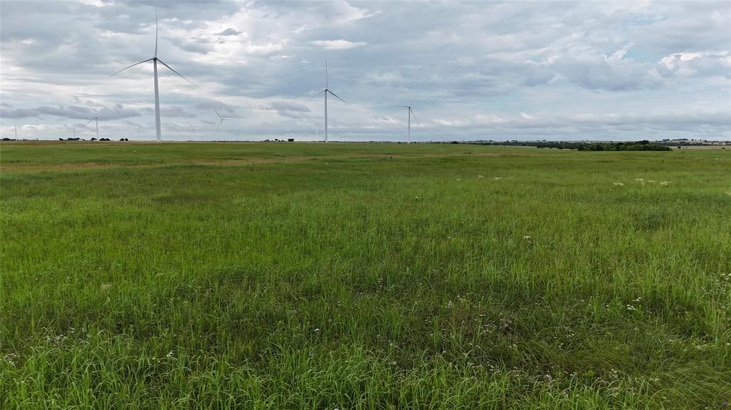 Tbd County Road 431 Property Photo 31