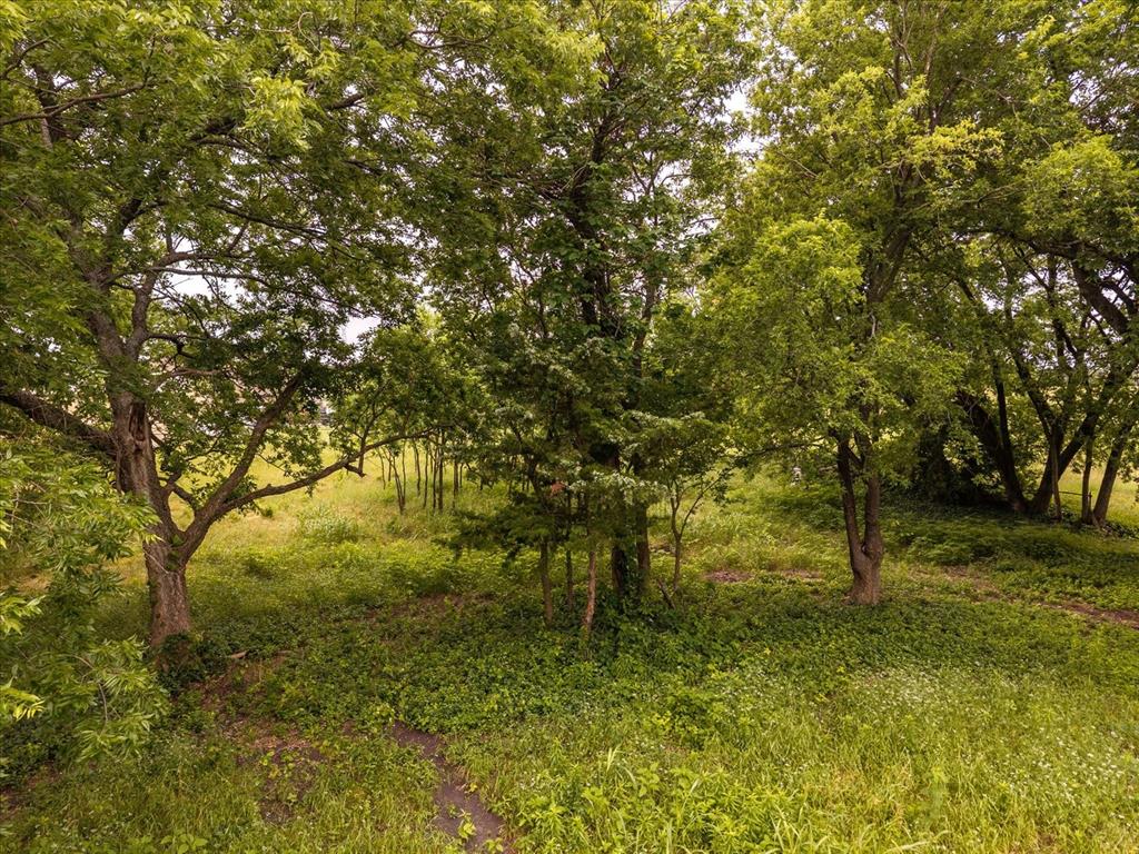 Tbd County Road 1119 Property Photo 2