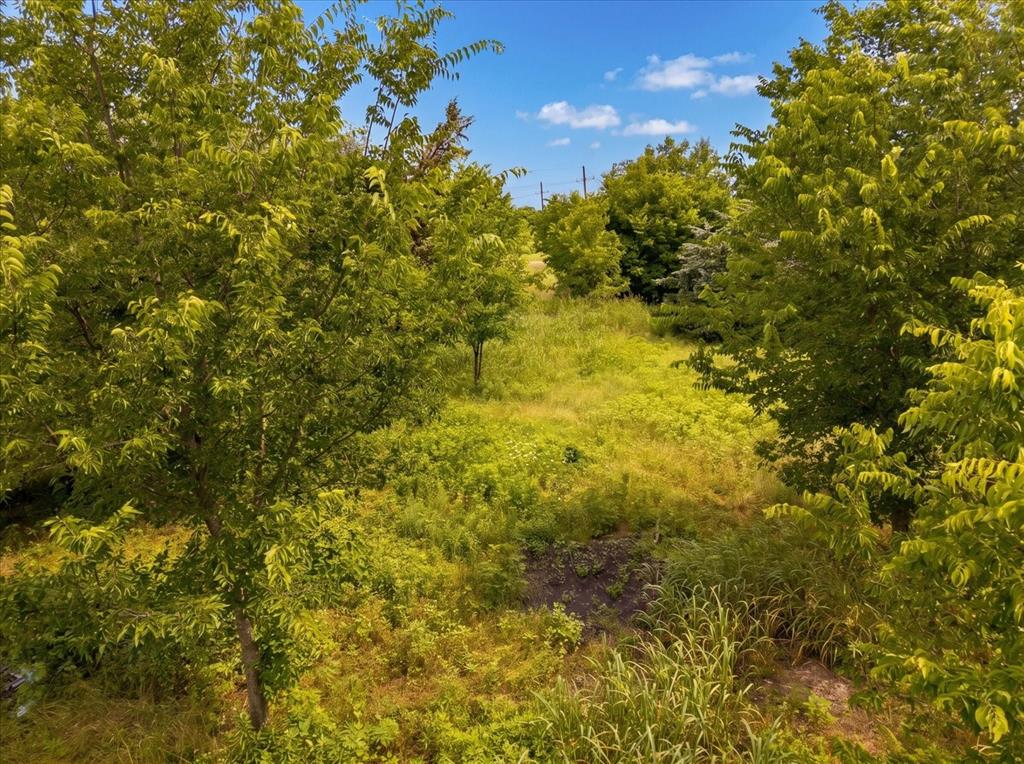 Tbd County Road 1119 Property Photo 3