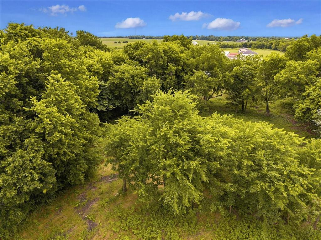 Tbd County Road 1119 Property Photo 4