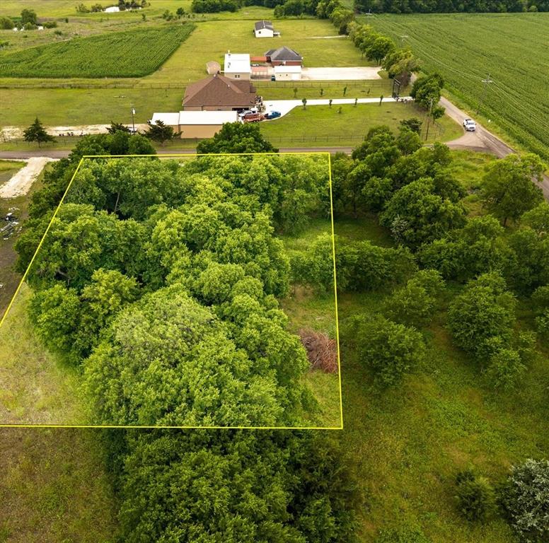 Tbd County Road 1119 Property Photo 5