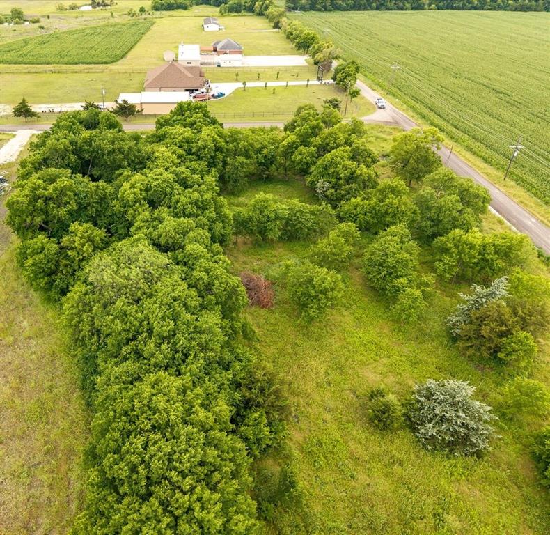 Tbd County Road 1119 Property Photo 6