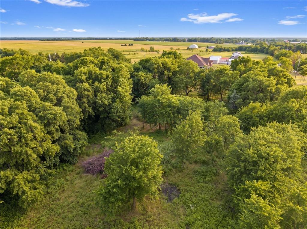 Tbd County Road 1119 Property Photo 7