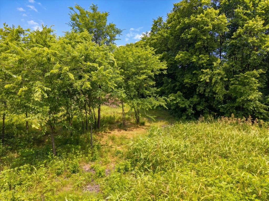 Tbd County Road 1119 Property Photo 8