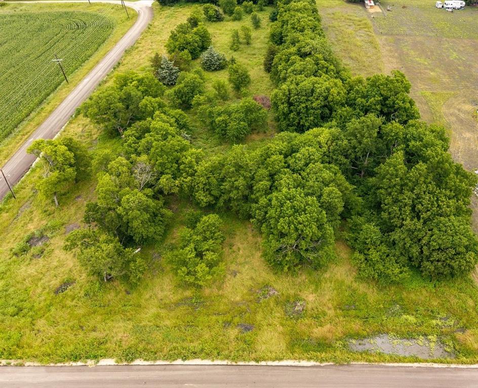 Tbd County Road 1119 Property Photo 10