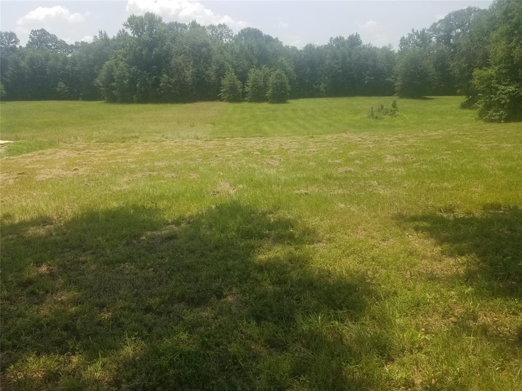281 Indian Gap Property Photo 14