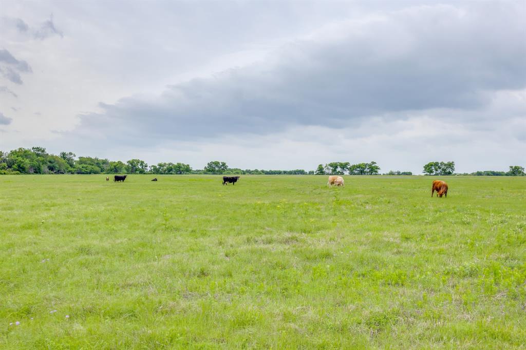 5660 Upper Denton Road Property Photo 38