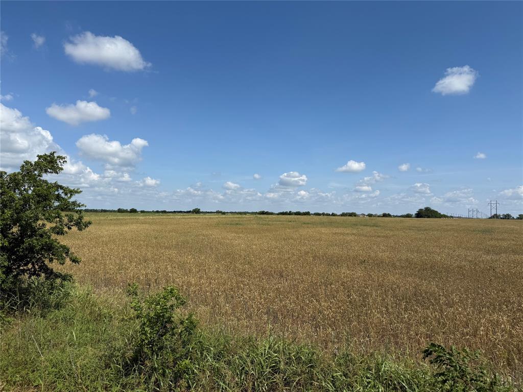 6785 Hoehn Road Property Photo 3
