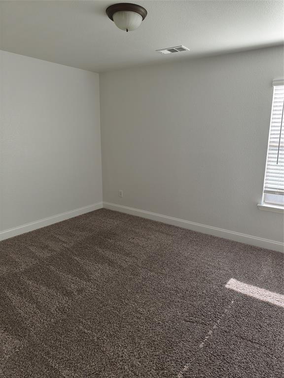 406 Stanley Falls Drive Property Photo 26