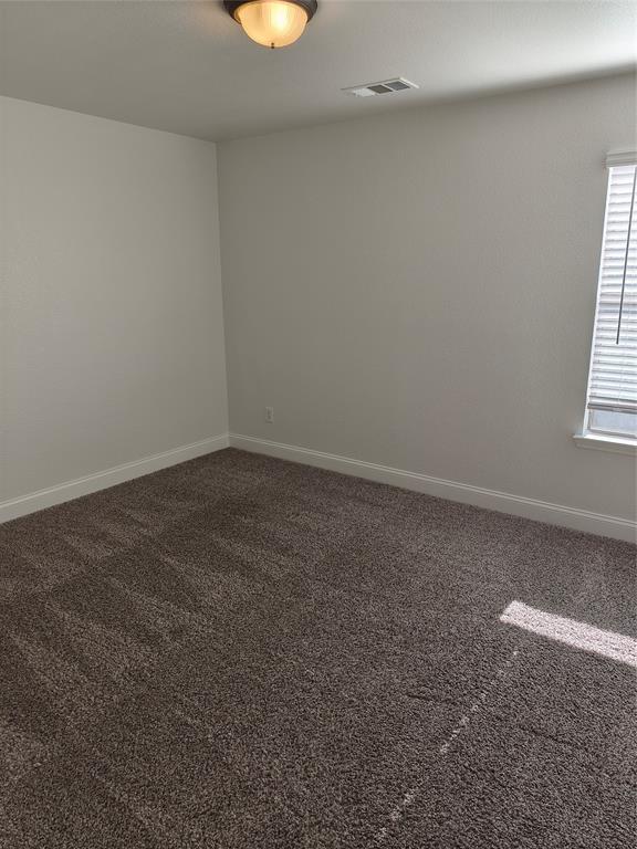 406 Stanley Falls Drive Property Photo 27