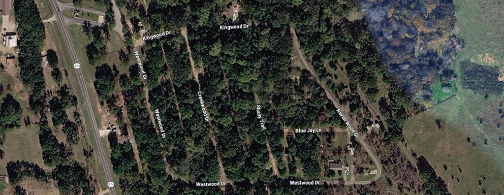 0 Shady Trail Property Photo 3