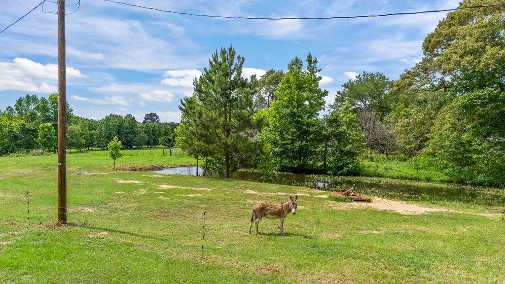 1122 County Road 3750 Property Photo 6