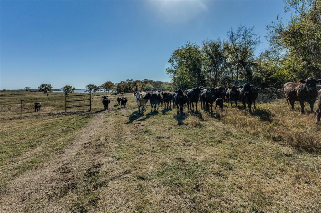 15675 County Road 4024 Property Photo 29