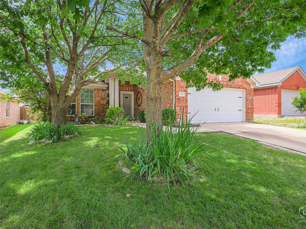 717 Sequoia Drive Property Photo 3