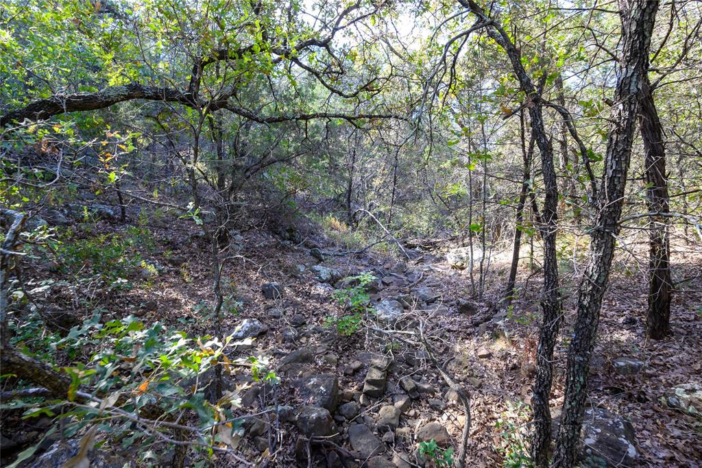 Tbd Ward Mt Property Photo 3