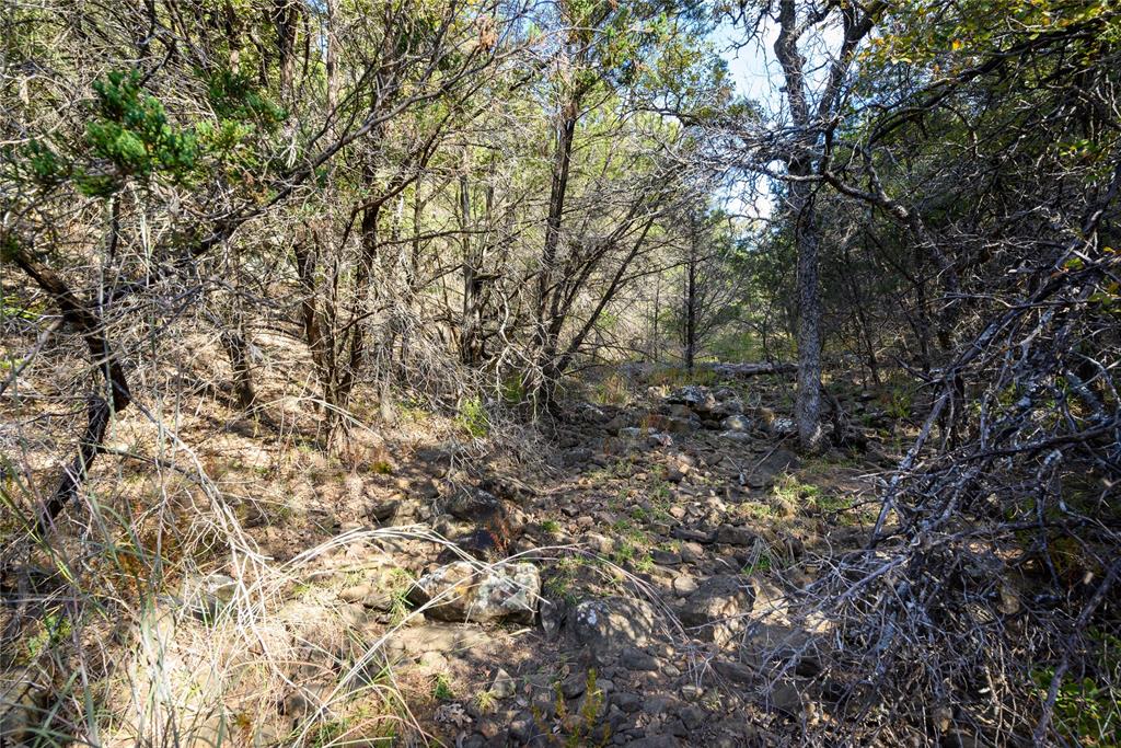 Tbd Ward Mt Property Photo 5