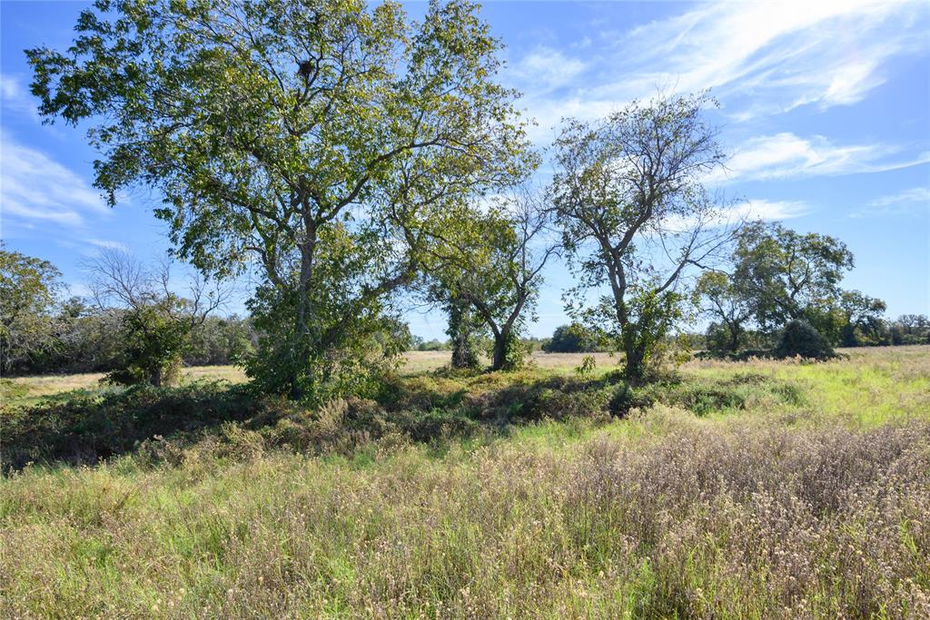 Tbd Ward Mt Property Photo 8
