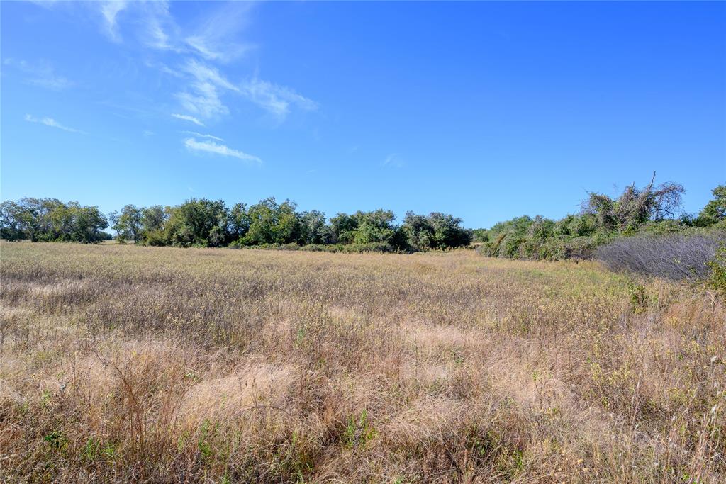 Tbd Ward Mt Property Photo 9