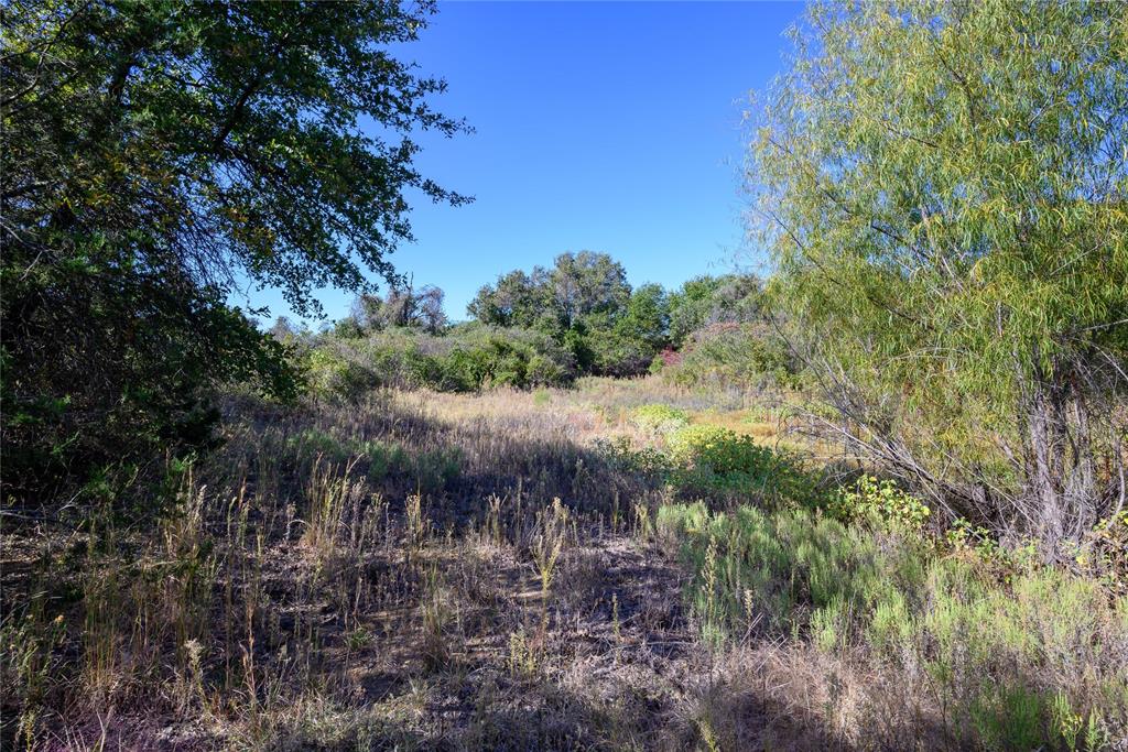 Tbd Ward Mt Property Photo 10