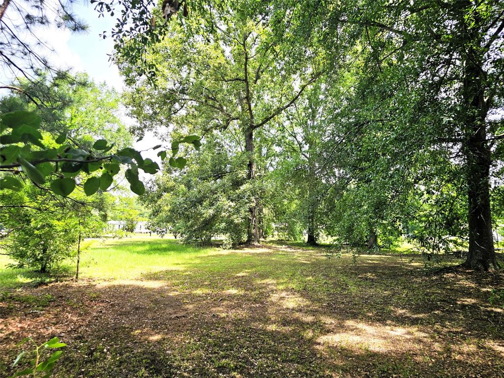 12910 Springhaven Drive Property Photo 29