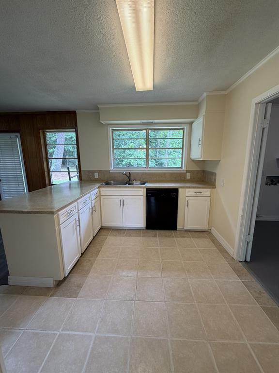 3536 Highway 84 Property Photo 9