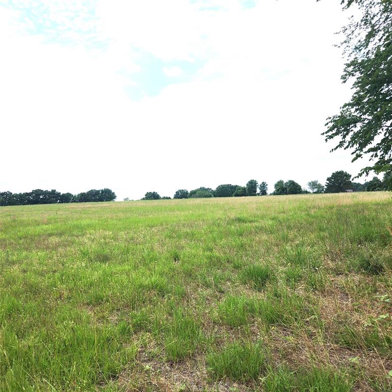0 County Road 2813 Property Photo 1