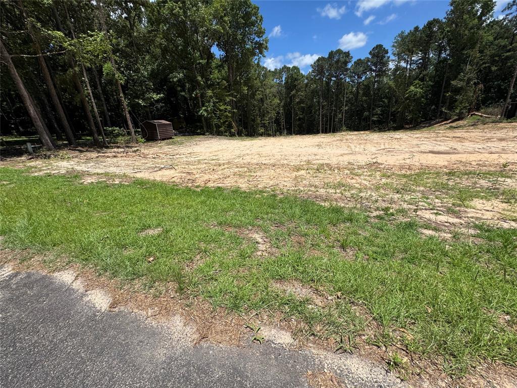 0 Whispering Pines Trail Property Photo 2