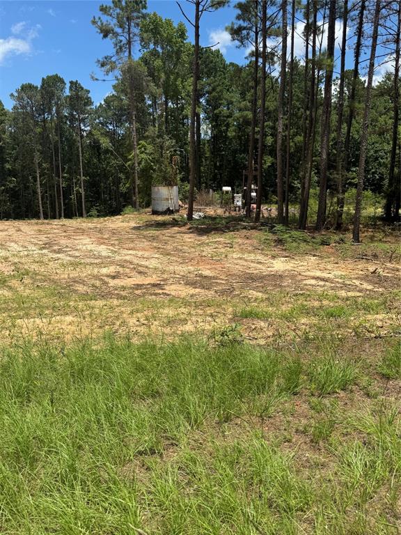 0 Whispering Pines Trail Property Photo 3