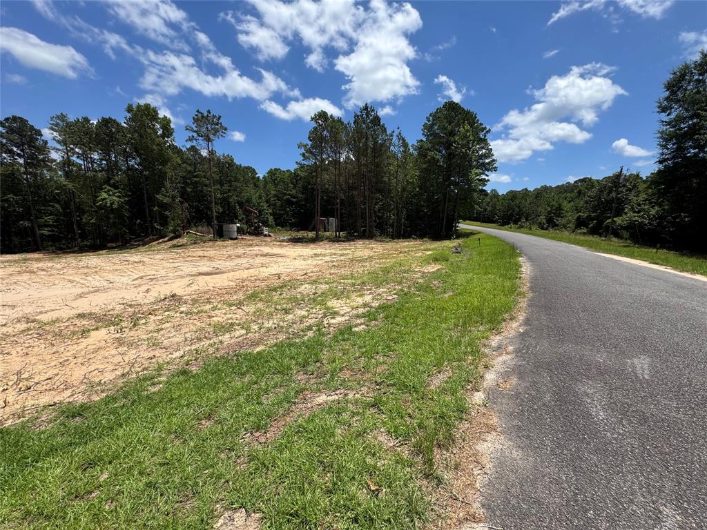 0 Whispering Pines Trail Property Photo 4
