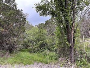 1083 Cedar Hill Drive Property Photo 6