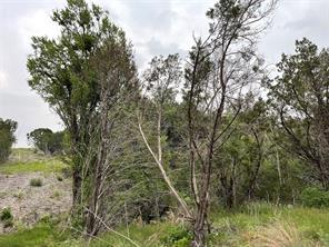 1083 Cedar Hill Drive Property Photo 19