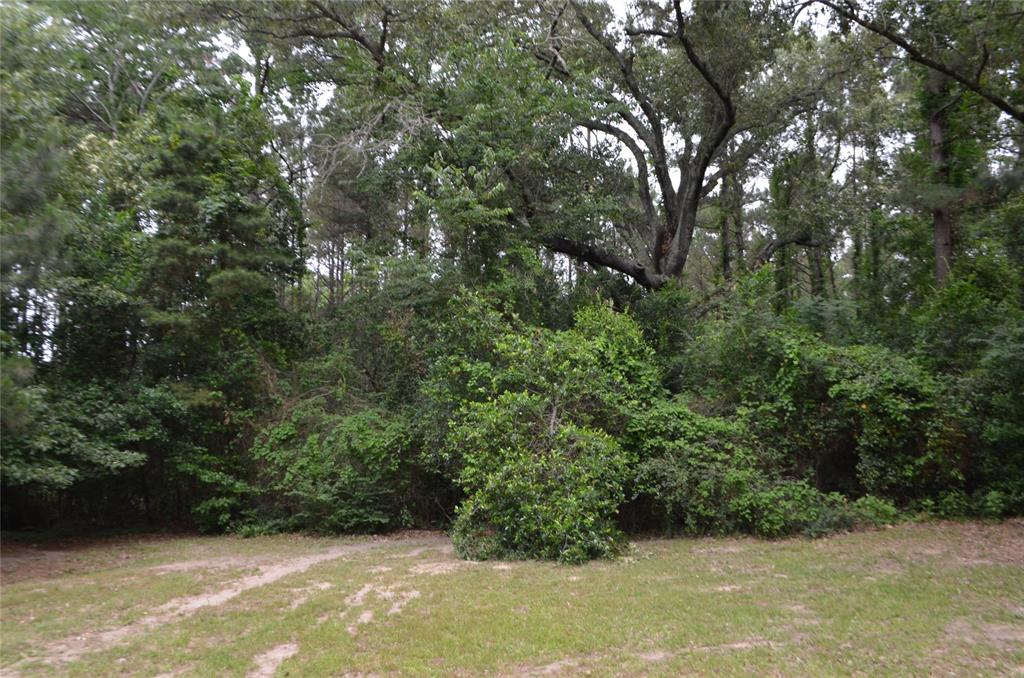1508 Hwy 135 Property Photo 5