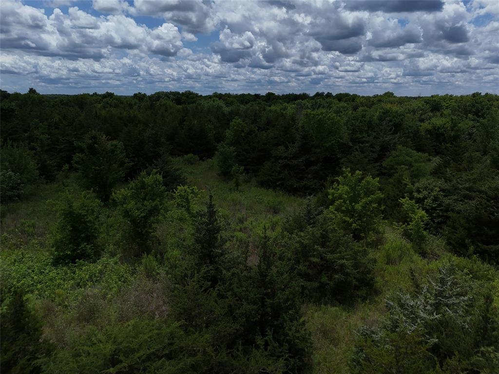 00203 Fm 2675 Property Photo 6