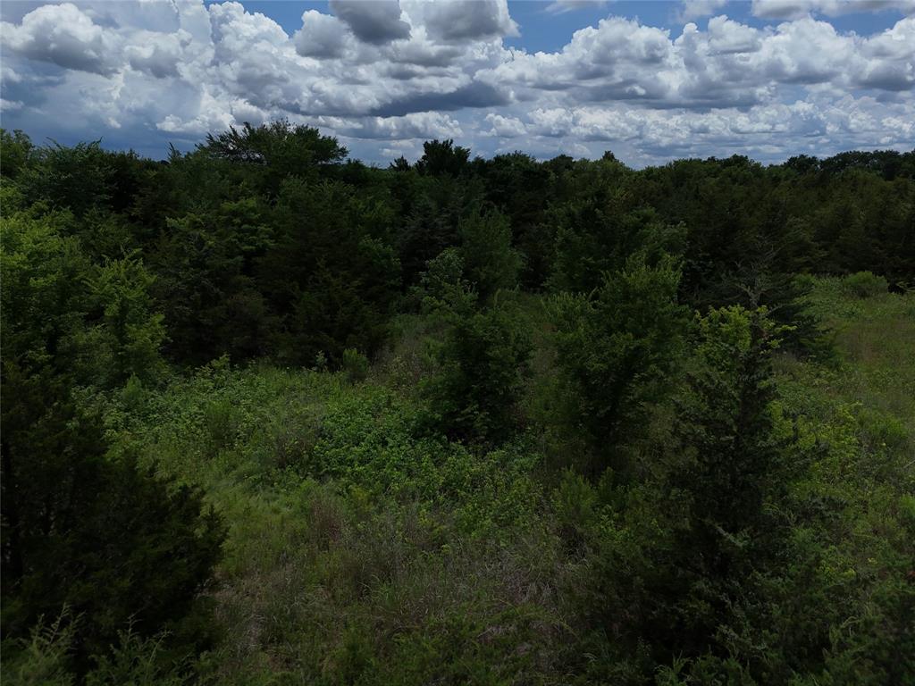 00203 Fm 2675 Property Photo 7