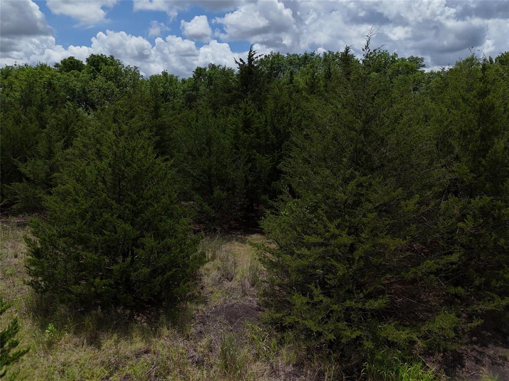 00203 Fm 2675 Property Photo 8
