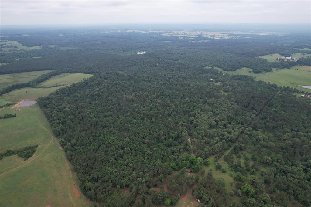 Tbd County Road 461 Property Photo 1