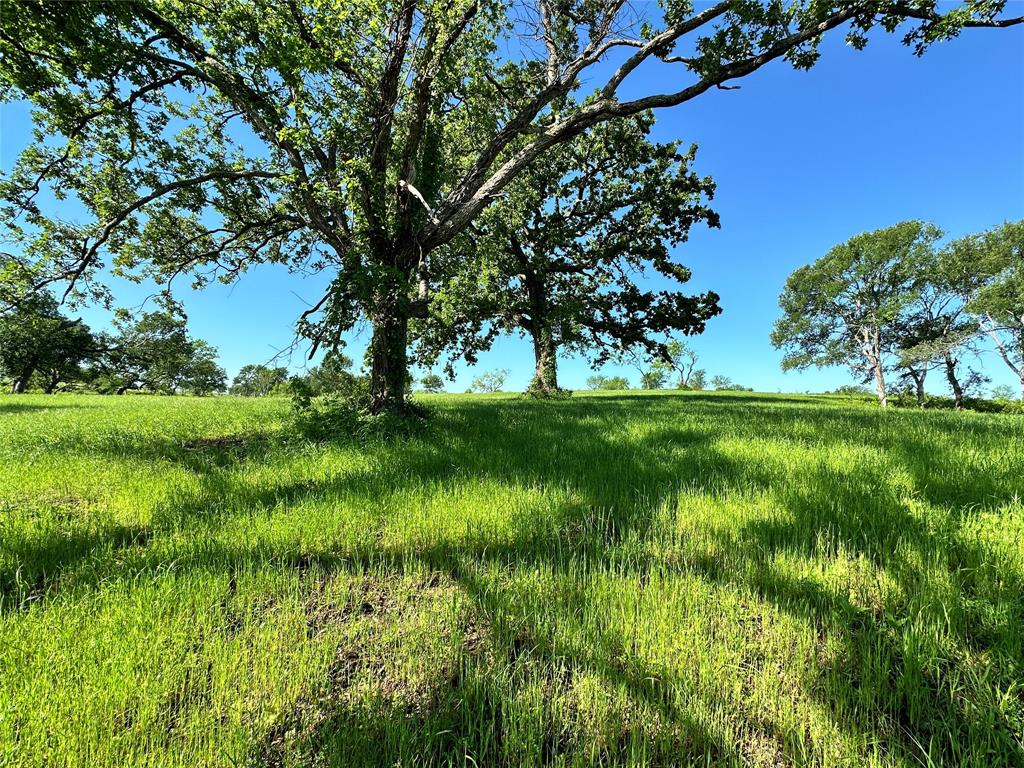 Lot 53 Richland Court Property Photo 10