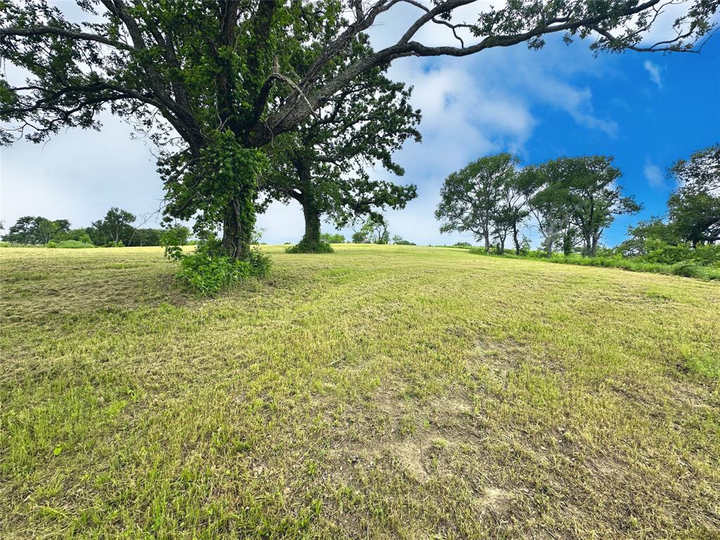 Lot 53 Richland Court Property Photo 14