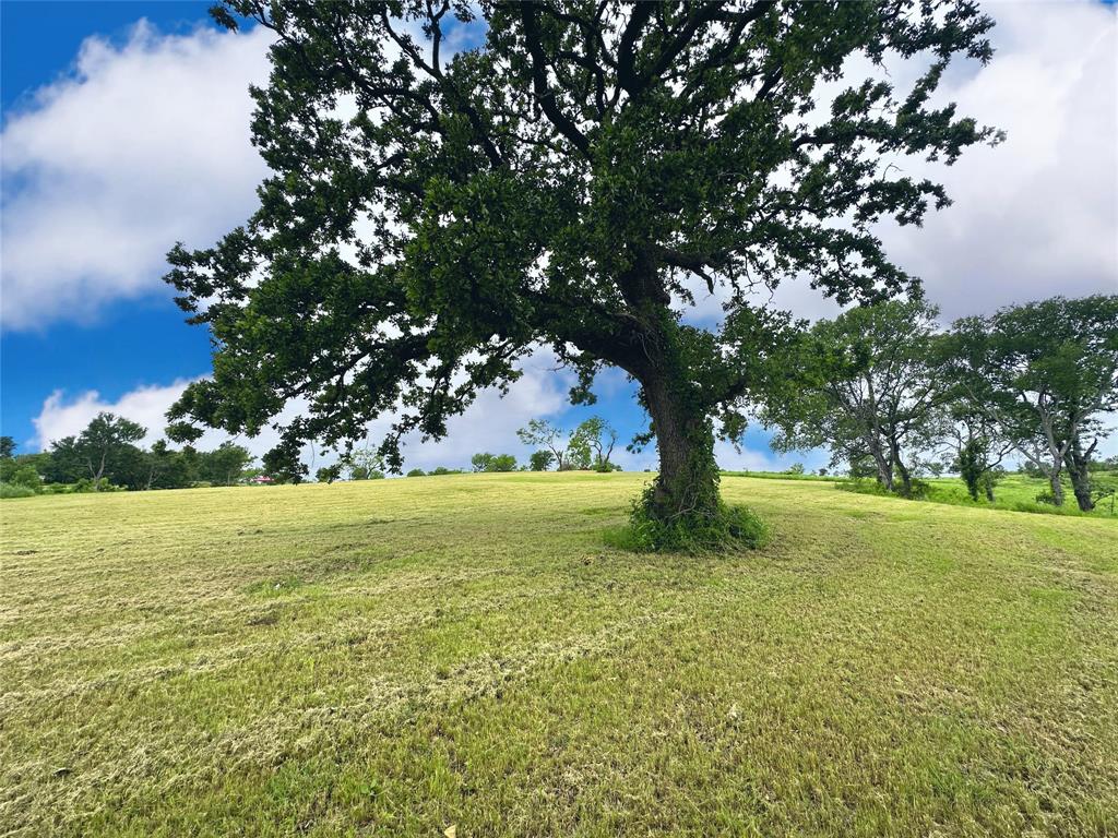 Lot 53 Richland Court Property Photo 26