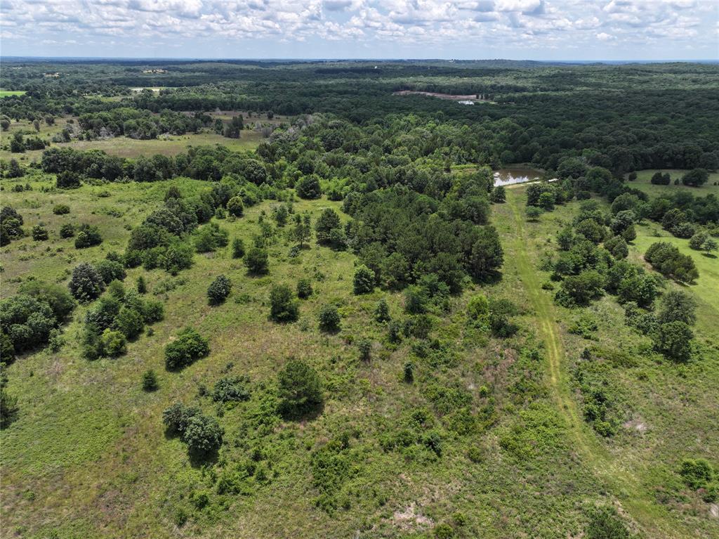 3843 Fm 1256 Property Photo 4