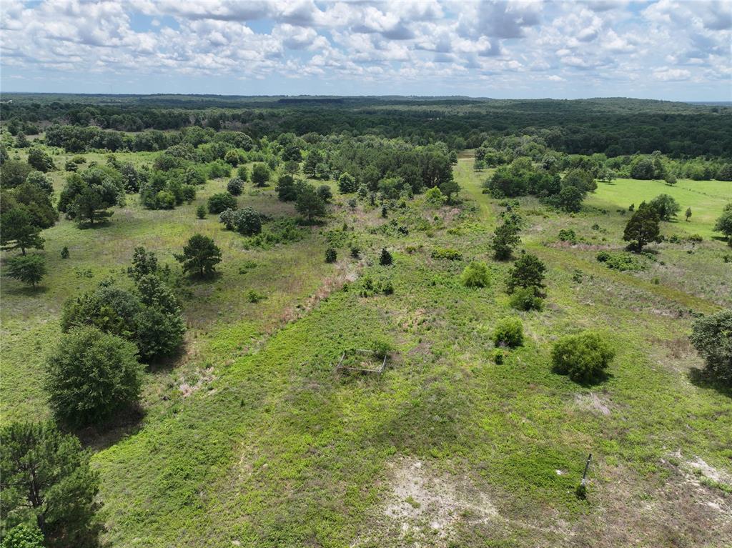 3843 Fm 1256 Property Photo 5